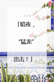 暗夜，“猛龙”出击！